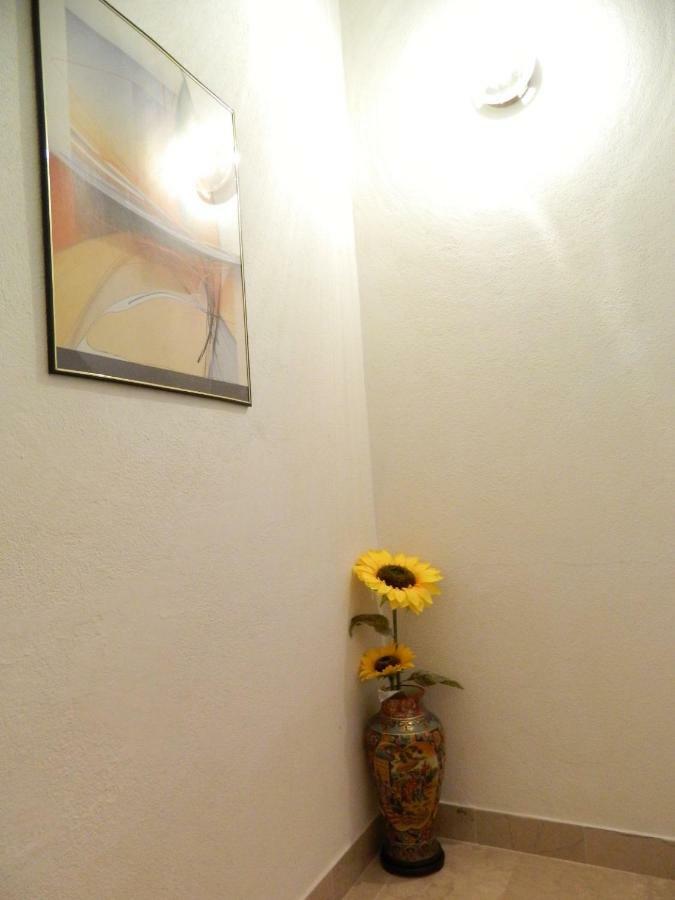 Ema Apartment Brela Bagian luar foto